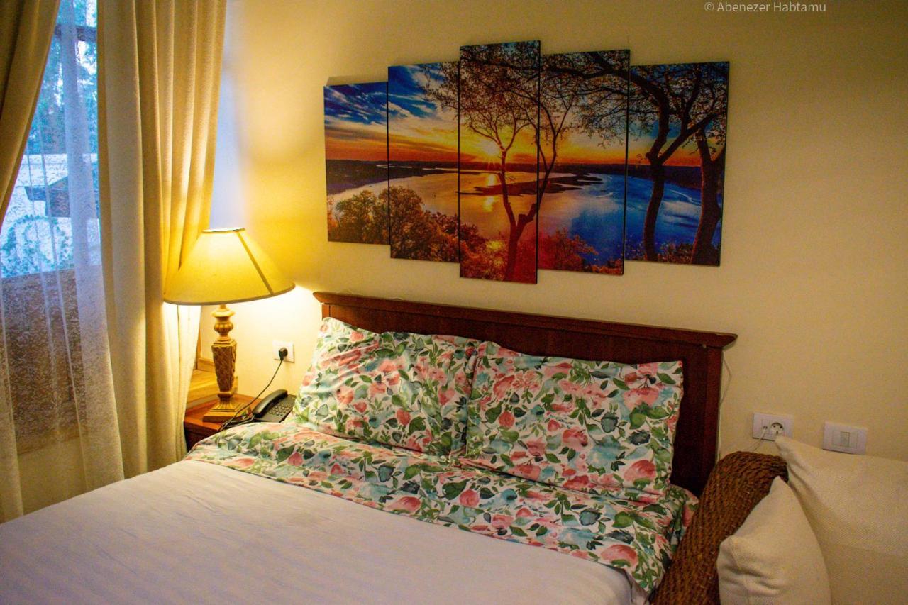 Choice Guest House 2 아디스아바바 외부 사진
